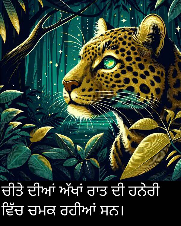 ਚੀਤੇ: ਚੀਤੇ ਦੀਆਂ ਅੱਖਾਂ ਰਾਤ ਦੀ ਹਨੇਰੀ ਵਿੱਚ ਚਮਕ ਰਹੀਆਂ ਸਨ।