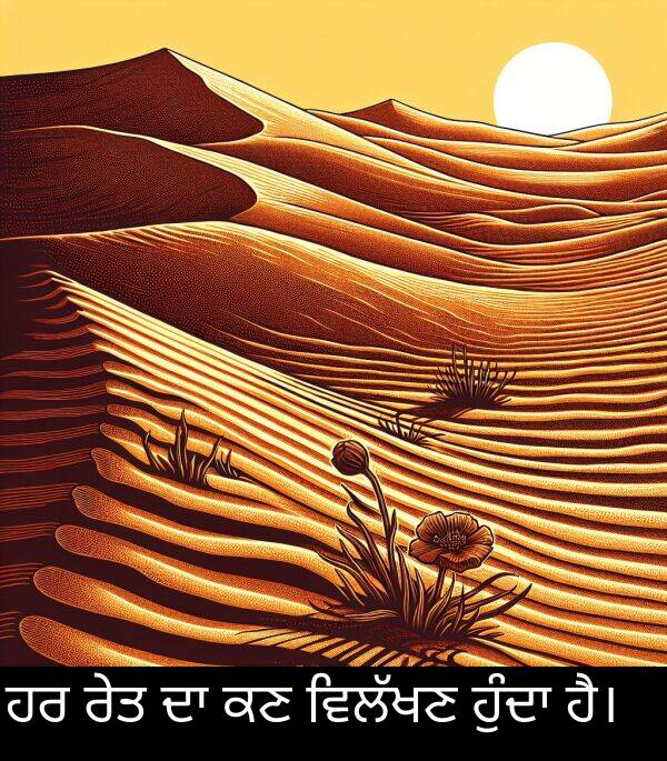 ਰੇਤ: ਹਰ ਰੇਤ ਦਾ ਕਣ ਵਿਲੱਖਣ ਹੁੰਦਾ ਹੈ।