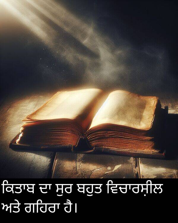 ਸੁਰ: ਕਿਤਾਬ ਦਾ ਸੁਰ ਬਹੁਤ ਵਿਚਾਰਸ਼ੀਲ ਅਤੇ ਗਹਿਰਾ ਹੈ।