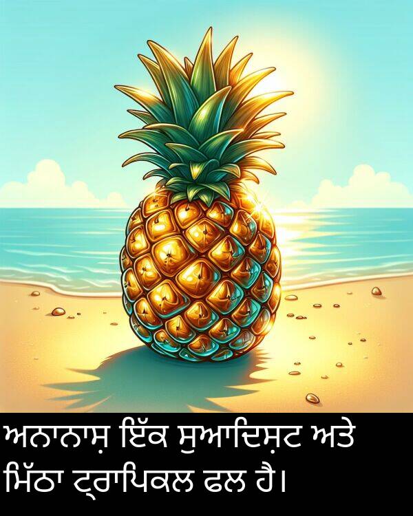 ਸੁਆਦਿਸ਼ਟ: ਅਨਾਨਾਸ਼ ਇੱਕ ਸੁਆਦਿਸ਼ਟ ਅਤੇ ਮਿੱਠਾ ਟ੍ਰਾਪਿਕਲ ਫਲ ਹੈ।