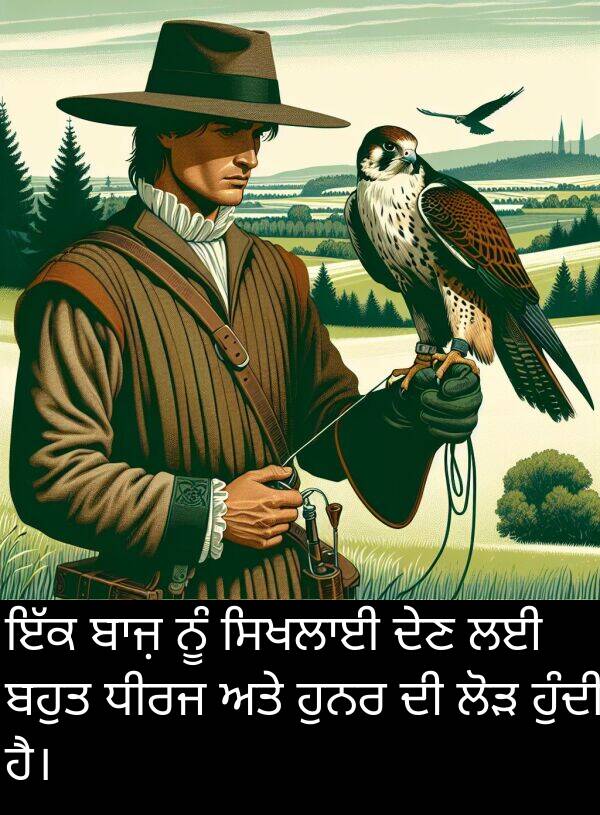 ਧੀਰਜ: ਇੱਕ ਬਾਜ਼ ਨੂੰ ਸਿਖਲਾਈ ਦੇਣ ਲਈ ਬਹੁਤ ਧੀਰਜ ਅਤੇ ਹੁਨਰ ਦੀ ਲੋੜ ਹੁੰਦੀ ਹੈ।
