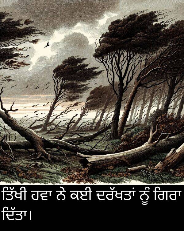 ਨੂੰ: ਤਿੱਖੀ ਹਵਾ ਨੇ ਕਈ ਦਰੱਖਤਾਂ ਨੂੰ ਗਿਰਾ ਦਿੱਤਾ।