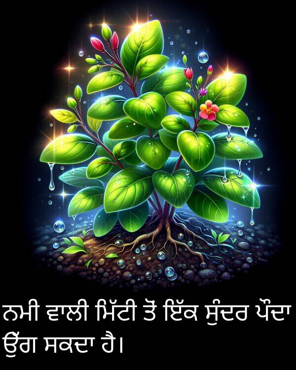 ਨਮੀ: ਨਮੀ ਵਾਲੀ ਮਿੱਟੀ ਤੋਂ ਇੱਕ ਸੁੰਦਰ ਪੌਦਾ ਉੱਗ ਸਕਦਾ ਹੈ।