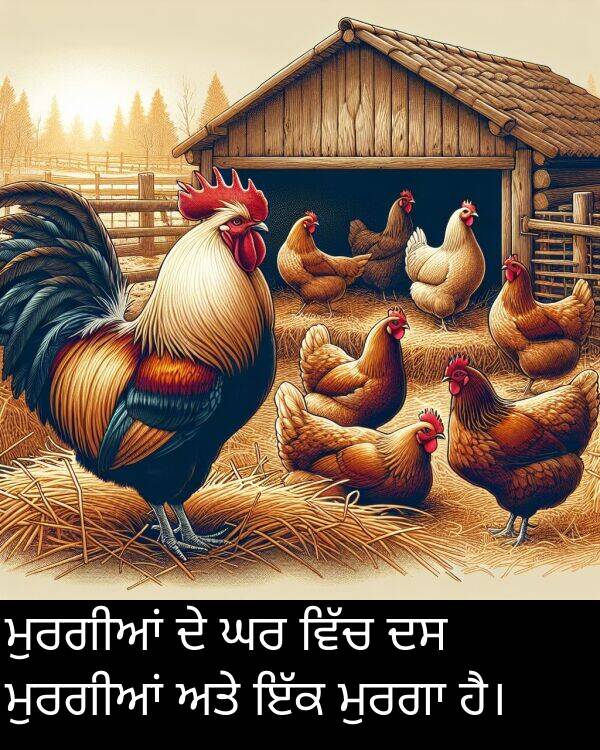 ਮੁਰਗੀਆਂ: ਮੁਰਗੀਆਂ ਦੇ ਘਰ ਵਿੱਚ ਦਸ ਮੁਰਗੀਆਂ ਅਤੇ ਇੱਕ ਮੁਰਗਾ ਹੈ।