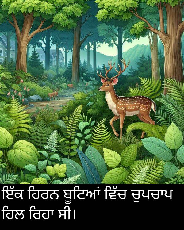 ਬੂਟਿਆਂ: ਇੱਕ ਹਿਰਨ ਬੂਟਿਆਂ ਵਿੱਚ ਚੁਪਚਾਪ ਹਿਲ ਰਿਹਾ ਸੀ।
