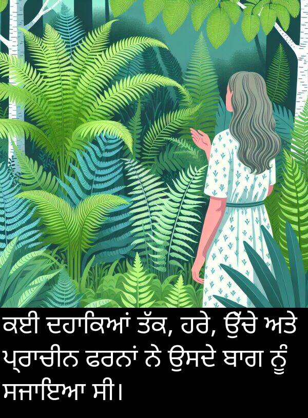 ਹਰੇ: ਕਈ ਦਹਾਕਿਆਂ ਤੱਕ, ਹਰੇ, ਉੱਚੇ ਅਤੇ ਪ੍ਰਾਚੀਨ ਫਰਨਾਂ ਨੇ ਉਸਦੇ ਬਾਗ ਨੂੰ ਸਜਾਇਆ ਸੀ।
