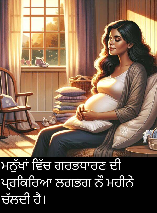 ਪ੍ਰਕਿਰਿਆ: ਮਨੁੱਖਾਂ ਵਿੱਚ ਗਰਭਧਾਰਣ ਦੀ ਪ੍ਰਕਿਰਿਆ ਲਗਭਗ ਨੌ ਮਹੀਨੇ ਚੱਲਦੀ ਹੈ।