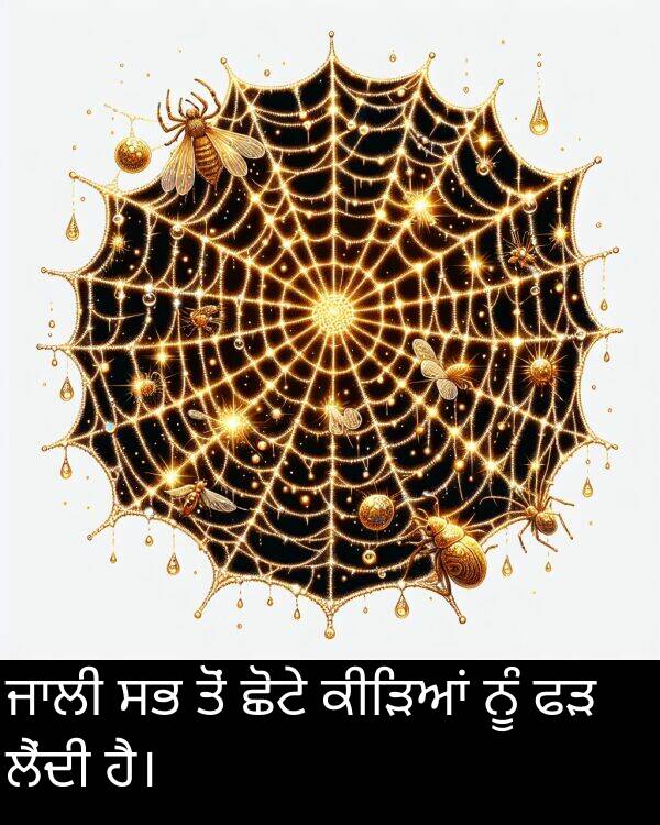 ਲੈਂਦੀ: ਜਾਲੀ ਸਭ ਤੋਂ ਛੋਟੇ ਕੀੜਿਆਂ ਨੂੰ ਫੜ ਲੈਂਦੀ ਹੈ।
