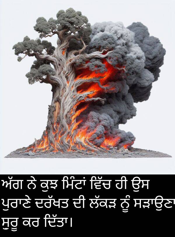 ਸ਼ੁਰੂ: ਅੱਗ ਨੇ ਕੁਝ ਮਿੰਟਾਂ ਵਿੱਚ ਹੀ ਉਸ ਪੁਰਾਣੇ ਦਰੱਖਤ ਦੀ ਲੱਕੜ ਨੂੰ ਸੜਾਉਣਾ ਸ਼ੁਰੂ ਕਰ ਦਿੱਤਾ।