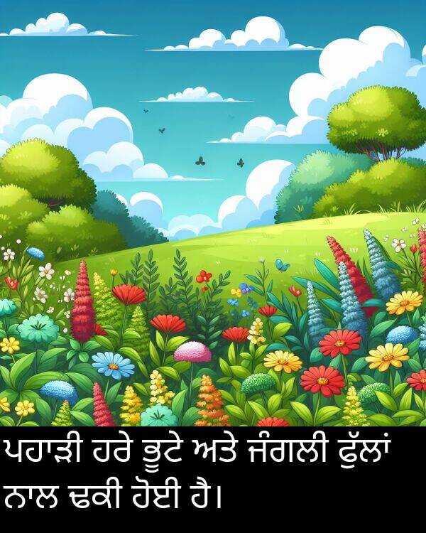 ਜੰਗਲੀ: ਪਹਾੜੀ ਹਰੇ ਭੂਟੇ ਅਤੇ ਜੰਗਲੀ ਫੁੱਲਾਂ ਨਾਲ ਢਕੀ ਹੋਈ ਹੈ।