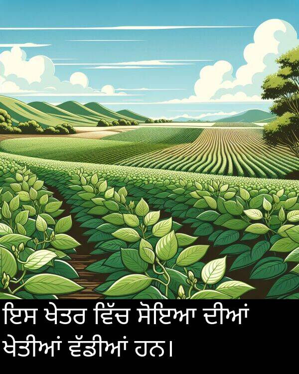 ਦੀਆਂ: ਇਸ ਖੇਤਰ ਵਿੱਚ ਸੋਇਆ ਦੀਆਂ ਖੇਤੀਆਂ ਵੱਡੀਆਂ ਹਨ।