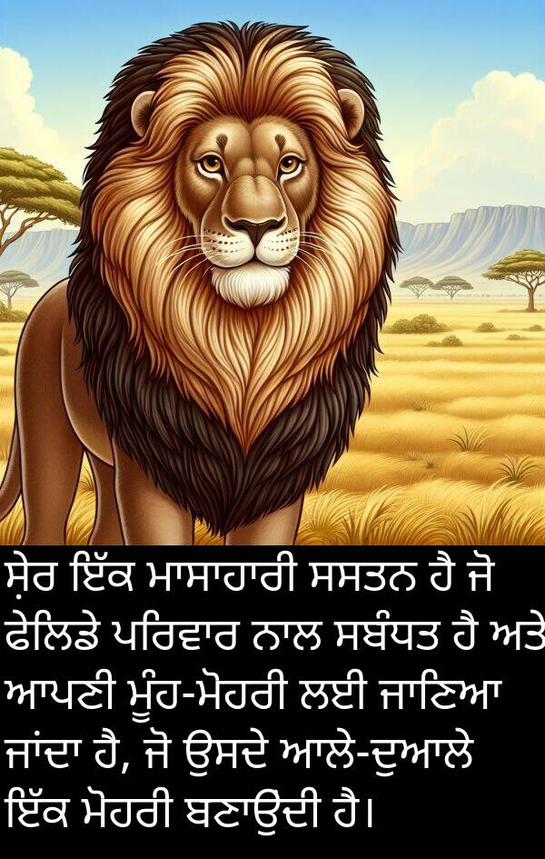 ਮੋਹਰੀ: ਸ਼ੇਰ ਇੱਕ ਮਾਸਾਹਾਰੀ ਸਸਤਨ ਹੈ ਜੋ ਫੇਲਿਡੇ ਪਰਿਵਾਰ ਨਾਲ ਸਬੰਧਤ ਹੈ ਅਤੇ ਆਪਣੀ ਮੂੰਹ-ਮੋਹਰੀ ਲਈ ਜਾਣਿਆ ਜਾਂਦਾ ਹੈ, ਜੋ ਉਸਦੇ ਆਲੇ-ਦੁਆਲੇ ਇੱਕ ਮੋਹਰੀ ਬਣਾਉਂਦੀ ਹੈ।