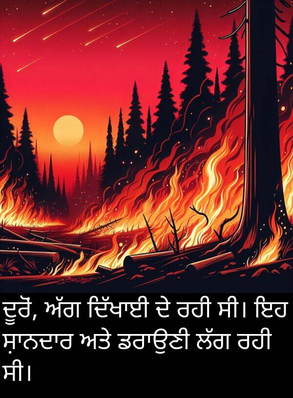 ਦੂਰੋਂ: ਦੂਰੋਂ, ਅੱਗ ਦਿੱਖਾਈ ਦੇ ਰਹੀ ਸੀ। ਇਹ ਸ਼ਾਨਦਾਰ ਅਤੇ ਡਰਾਉਣੀ ਲੱਗ ਰਹੀ ਸੀ।