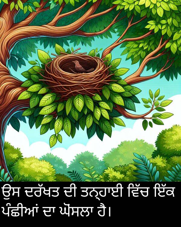 ਪੰਛੀਆਂ: ਉਸ ਦਰੱਖਤ ਦੀ ਤਨ੍ਹਾਈ ਵਿੱਚ ਇੱਕ ਪੰਛੀਆਂ ਦਾ ਘੋਂਸਲਾ ਹੈ।