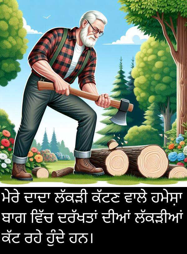 ਹੁੰਦੇ: ਮੇਰੇ ਦਾਦਾ ਲੱਕੜੀ ਕੱਟਣ ਵਾਲੇ ਹਮੇਸ਼ਾ ਬਾਗ ਵਿੱਚ ਦਰੱਖਤਾਂ ਦੀਆਂ ਲੱਕੜੀਆਂ ਕੱਟ ਰਹੇ ਹੁੰਦੇ ਹਨ।