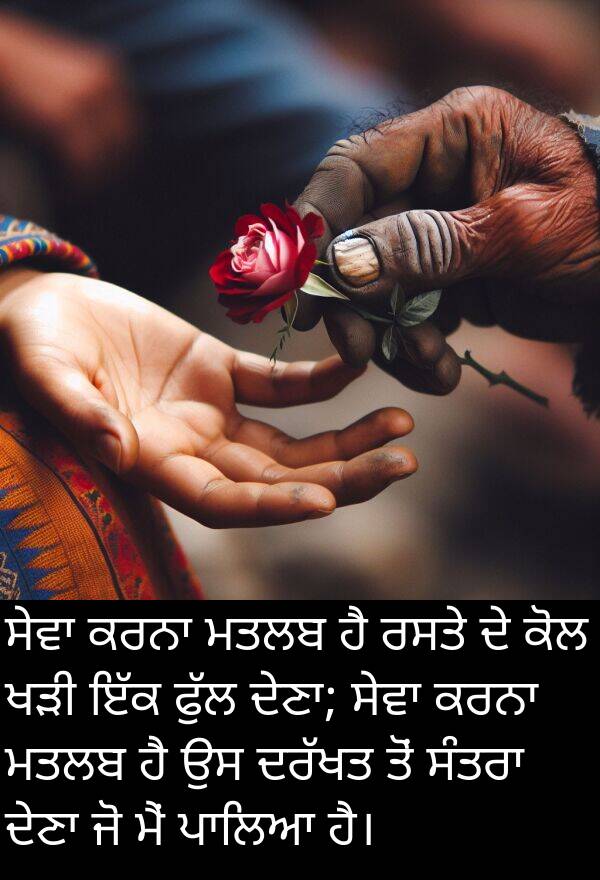 ਮਤਲਬ: ਸੇਵਾ ਕਰਨਾ ਮਤਲਬ ਹੈ ਰਸਤੇ ਦੇ ਕੋਲ ਖੜੀ ਇੱਕ ਫੁੱਲ ਦੇਣਾ; ਸੇਵਾ ਕਰਨਾ ਮਤਲਬ ਹੈ ਉਸ ਦਰੱਖਤ ਤੋਂ ਸੰਤਰਾ ਦੇਣਾ ਜੋ ਮੈਂ ਪਾਲਿਆ ਹੈ।