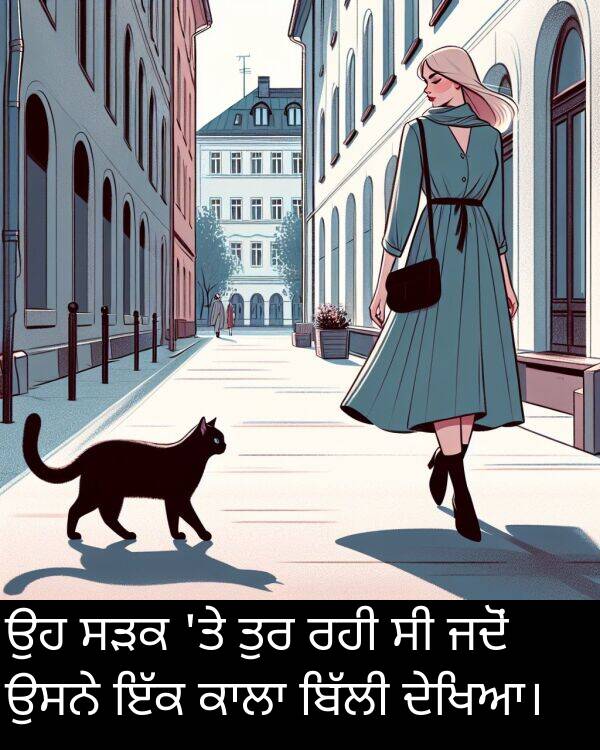 ਜਦੋਂ: ਉਹ ਸੜਕ 'ਤੇ ਤੁਰ ਰਹੀ ਸੀ ਜਦੋਂ ਉਸਨੇ ਇੱਕ ਕਾਲਾ ਬਿੱਲੀ ਦੇਖਿਆ।