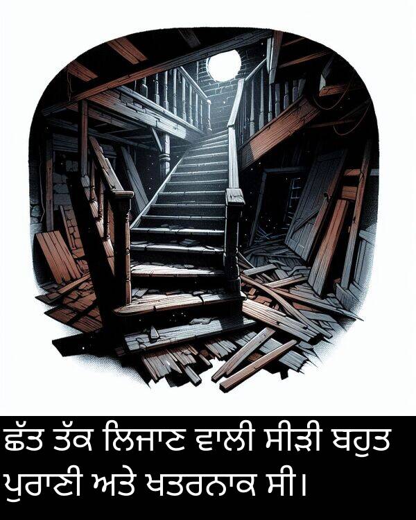 ਸੀੜੀ: ਛੱਤ ਤੱਕ ਲਿਜਾਣ ਵਾਲੀ ਸੀੜੀ ਬਹੁਤ ਪੁਰਾਣੀ ਅਤੇ ਖਤਰਨਾਕ ਸੀ।