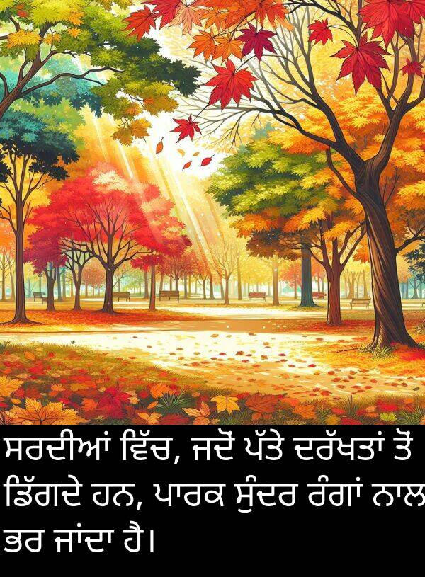 ਸਰਦੀਆਂ: ਸਰਦੀਆਂ ਵਿੱਚ, ਜਦੋਂ ਪੱਤੇ ਦਰੱਖਤਾਂ ਤੋਂ ਡਿੱਗਦੇ ਹਨ, ਪਾਰਕ ਸੁੰਦਰ ਰੰਗਾਂ ਨਾਲ ਭਰ ਜਾਂਦਾ ਹੈ।