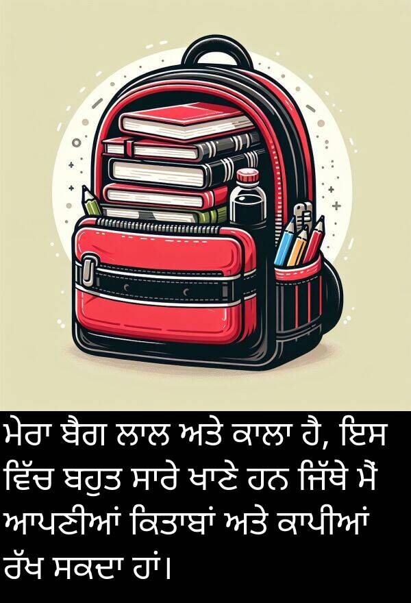ਬੈਗ: ਮੇਰਾ ਬੈਗ ਲਾਲ ਅਤੇ ਕਾਲਾ ਹੈ, ਇਸ ਵਿੱਚ ਬਹੁਤ ਸਾਰੇ ਖਾਣੇ ਹਨ ਜਿੱਥੇ ਮੈਂ ਆਪਣੀਆਂ ਕਿਤਾਬਾਂ ਅਤੇ ਕਾਪੀਆਂ ਰੱਖ ਸਕਦਾ ਹਾਂ।
