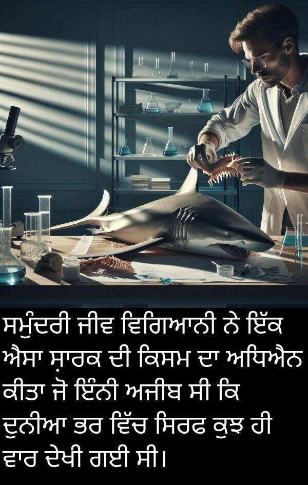 ਸਮੁੰਦਰੀ: ਸਮੁੰਦਰੀ ਜੀਵ ਵਿਗਿਆਨੀ ਨੇ ਇੱਕ ਐਸਾ ਸ਼ਾਰਕ ਦੀ ਕਿਸਮ ਦਾ ਅਧਿਐਨ ਕੀਤਾ ਜੋ ਇੰਨੀ ਅਜੀਬ ਸੀ ਕਿ ਦੁਨੀਆ ਭਰ ਵਿੱਚ ਸਿਰਫ ਕੁਝ ਹੀ ਵਾਰ ਦੇਖੀ ਗਈ ਸੀ।