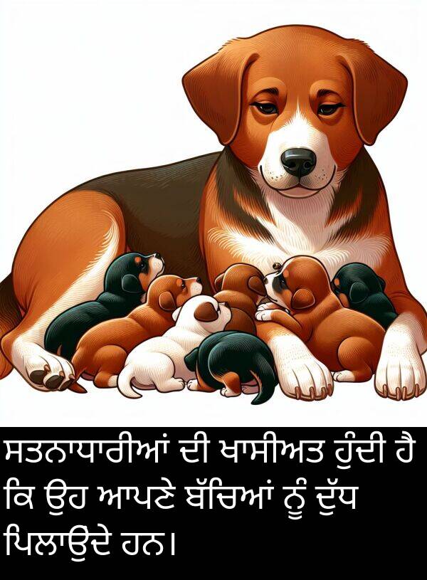 ਹੁੰਦੀ: ਸਤਨਾਧਾਰੀਆਂ ਦੀ ਖਾਸੀਅਤ ਹੁੰਦੀ ਹੈ ਕਿ ਉਹ ਆਪਣੇ ਬੱਚਿਆਂ ਨੂੰ ਦੁੱਧ ਪਿਲਾਉਂਦੇ ਹਨ।