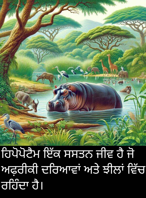 ਸਸਤਨ: ਹਿਪੋਪੋਟੈਮ ਇੱਕ ਸਸਤਨ ਜੀਵ ਹੈ ਜੋ ਅਫ਼ਰੀਕੀ ਦਰਿਆਵਾਂ ਅਤੇ ਝੀਲਾਂ ਵਿੱਚ ਰਹਿੰਦਾ ਹੈ।