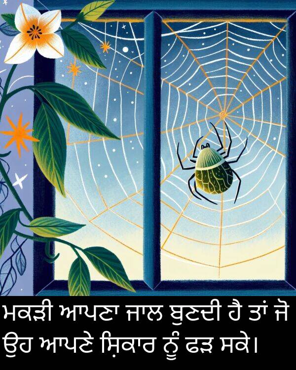 ਸਕੇ।: ਮਕੜੀ ਆਪਣਾ ਜਾਲ ਬੁਣਦੀ ਹੈ ਤਾਂ ਜੋ ਉਹ ਆਪਣੇ ਸ਼ਿਕਾਰ ਨੂੰ ਫੜ ਸਕੇ।