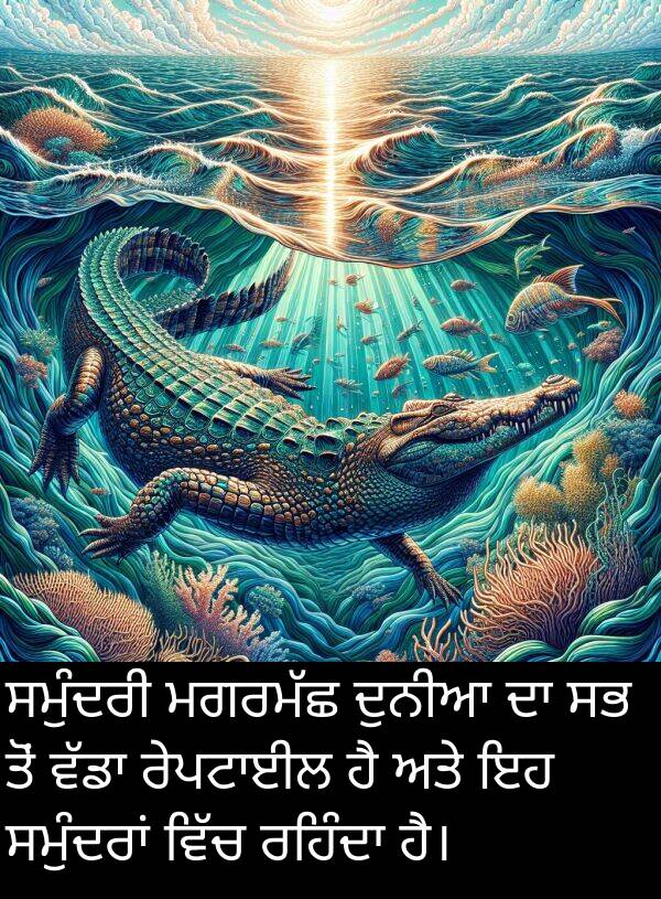 ਸਮੁੰਦਰੀ: ਸਮੁੰਦਰੀ ਮਗਰਮੱਛ ਦੁਨੀਆ ਦਾ ਸਭ ਤੋਂ ਵੱਡਾ ਰੇਪਟਾਈਲ ਹੈ ਅਤੇ ਇਹ ਸਮੁੰਦਰਾਂ ਵਿੱਚ ਰਹਿੰਦਾ ਹੈ।