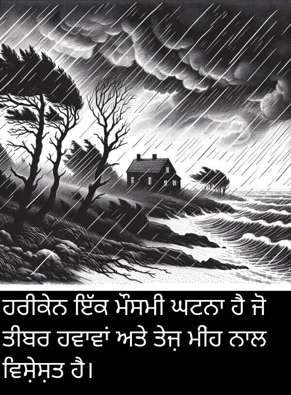 ਮੀਂਹ: ਹਰੀਕੇਨ ਇੱਕ ਮੌਸਮੀ ਘਟਨਾ ਹੈ ਜੋ ਤੀਬਰ ਹਵਾਵਾਂ ਅਤੇ ਤੇਜ਼ ਮੀਂਹ ਨਾਲ ਵਿਸ਼ੇਸ਼ਤ ਹੈ।