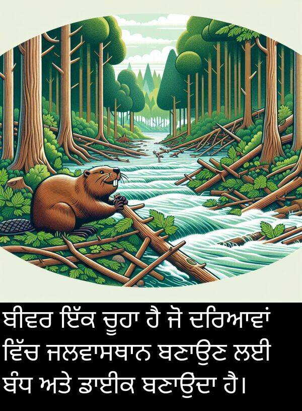 ਬੀਵਰ: ਬੀਵਰ ਇੱਕ ਚੂਹਾ ਹੈ ਜੋ ਦਰਿਆਵਾਂ ਵਿੱਚ ਜਲਵਾਸਥਾਨ ਬਣਾਉਣ ਲਈ ਬੰਧ ਅਤੇ ਡਾਈਕ ਬਣਾਉਂਦਾ ਹੈ।