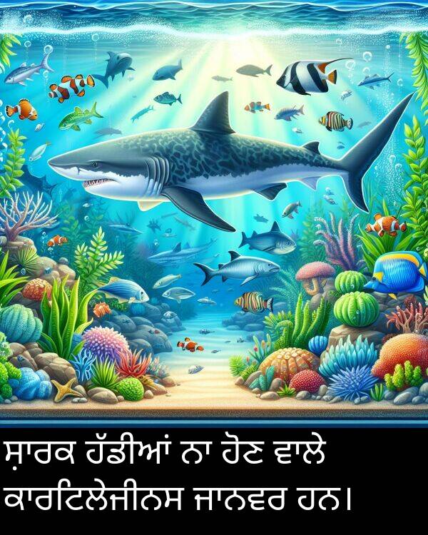ਹੋਣ: ਸ਼ਾਰਕ ਹੱਡੀਆਂ ਨਾ ਹੋਣ ਵਾਲੇ ਕਾਰਟਿਲੇਜੀਨਸ ਜਾਨਵਰ ਹਨ।