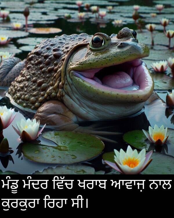 ਮੰਦਰ: ਮੰਡੂ ਮੰਦਰ ਵਿੱਚ ਖਰਾਬ ਆਵਾਜ਼ ਨਾਲ ਕੁਰਕੁਰਾ ਰਿਹਾ ਸੀ।