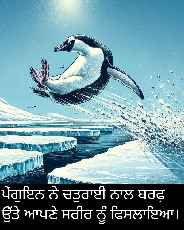 ਬਰਫ਼: ਪੇਂਗੁਇਨ ਨੇ ਚਤੁਰਾਈ ਨਾਲ ਬਰਫ਼ ਉੱਤੇ ਆਪਣੇ ਸਰੀਰ ਨੂੰ ਫਿਸਲਾਇਆ।
