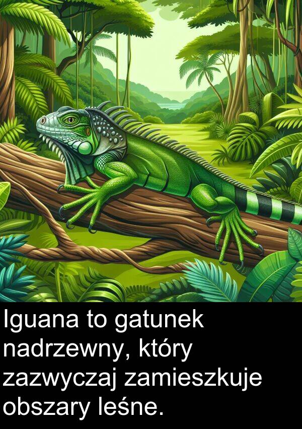 zazwyczaj: Iguana to gatunek nadrzewny, który zazwyczaj zamieszkuje obszary leśne.