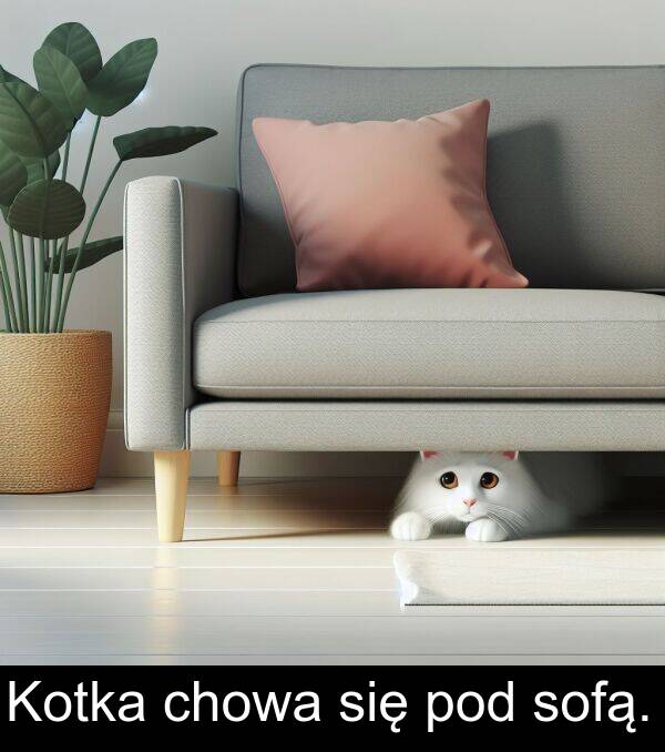 sofą: Kotka chowa się pod sofą.