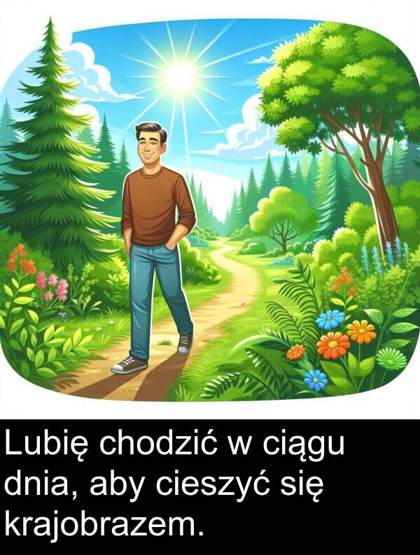 krajobrazem: Lubię chodzić w ciągu dnia, aby cieszyć się krajobrazem.
