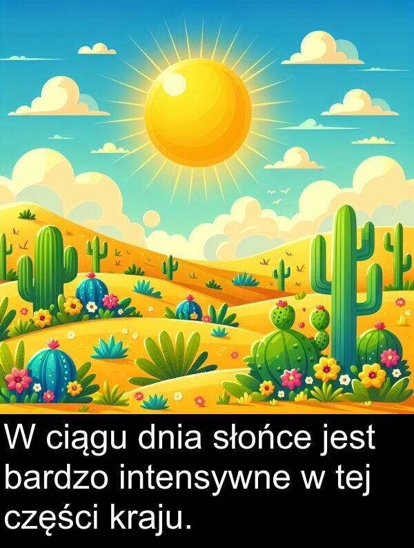 tej: W ciągu dnia słońce jest bardzo intensywne w tej części kraju.