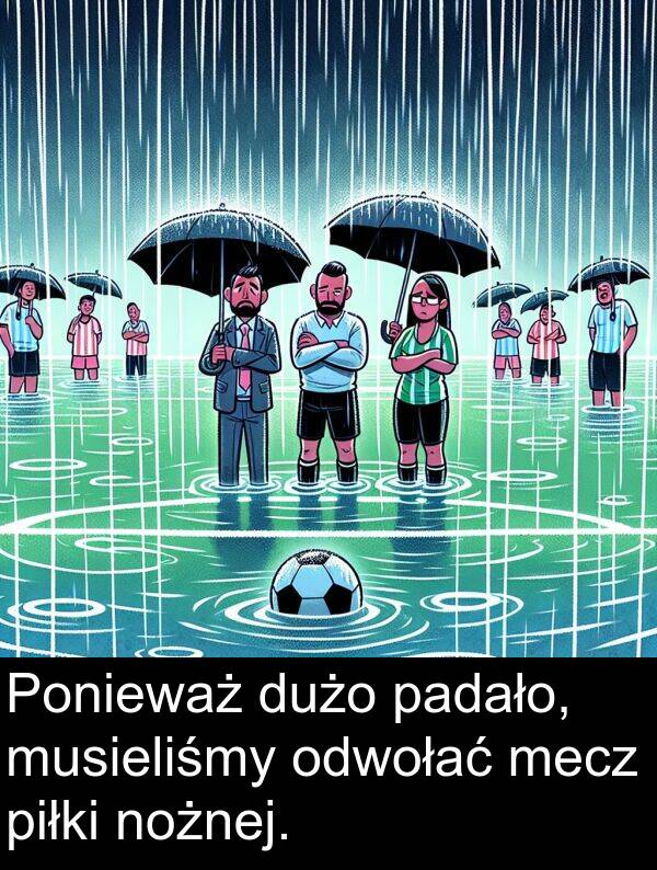 padało: Ponieważ dużo padało, musieliśmy odwołać mecz piłki nożnej.