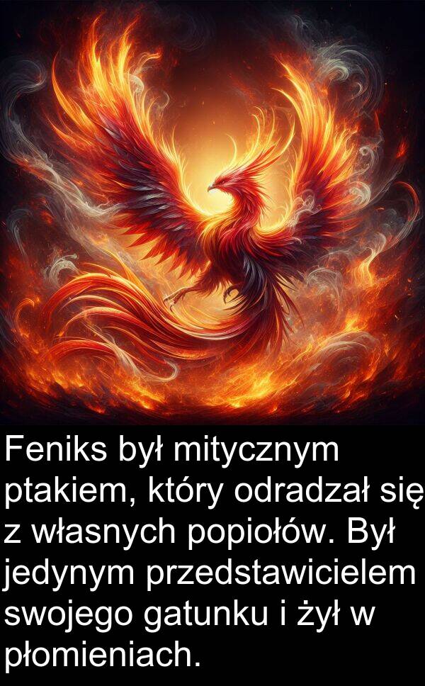 przedstawicielem: Feniks był mitycznym ptakiem, który odradzał się z własnych popiołów. Był jedynym przedstawicielem swojego gatunku i żył w płomieniach.