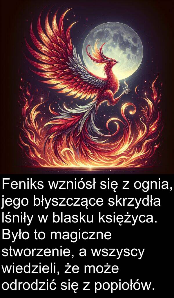 wiedzieli: Feniks wzniósł się z ognia, jego błyszczące skrzydła lśniły w blasku księżyca. Było to magiczne stworzenie, a wszyscy wiedzieli, że może odrodzić się z popiołów.