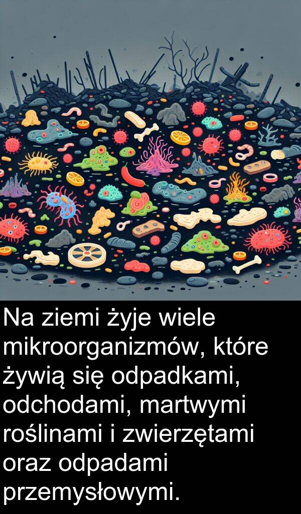 przemysłowymi: Na ziemi żyje wiele mikroorganizmów, które żywią się odpadkami, odchodami, martwymi roślinami i zwierzętami oraz odpadami przemysłowymi.