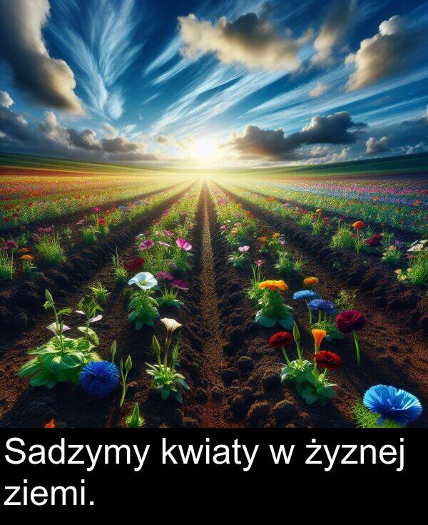 ziemi: Sadzymy kwiaty w żyznej ziemi.