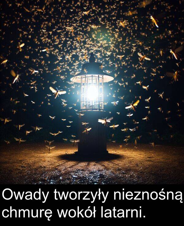 latarni: Owady tworzyły nieznośną chmurę wokół latarni.
