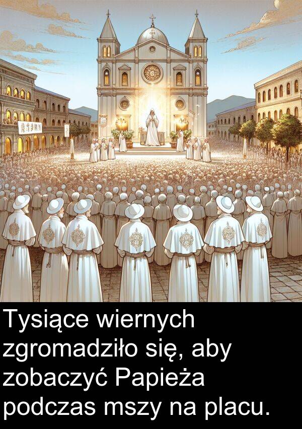 zobaczyć: Tysiące wiernych zgromadziło się, aby zobaczyć Papieża podczas mszy na placu.