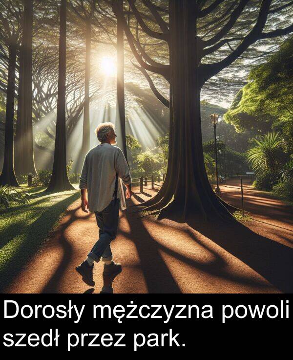 powoli: Dorosły mężczyzna powoli szedł przez park.