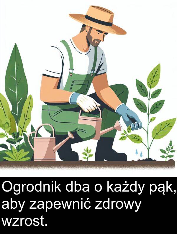 wzrost: Ogrodnik dba o każdy pąk, aby zapewnić zdrowy wzrost.