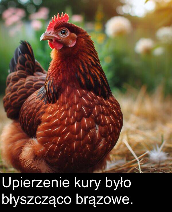 błyszcząco: Upierzenie kury było błyszcząco brązowe.