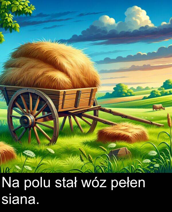 pełen: Na polu stał wóz pełen siana.
