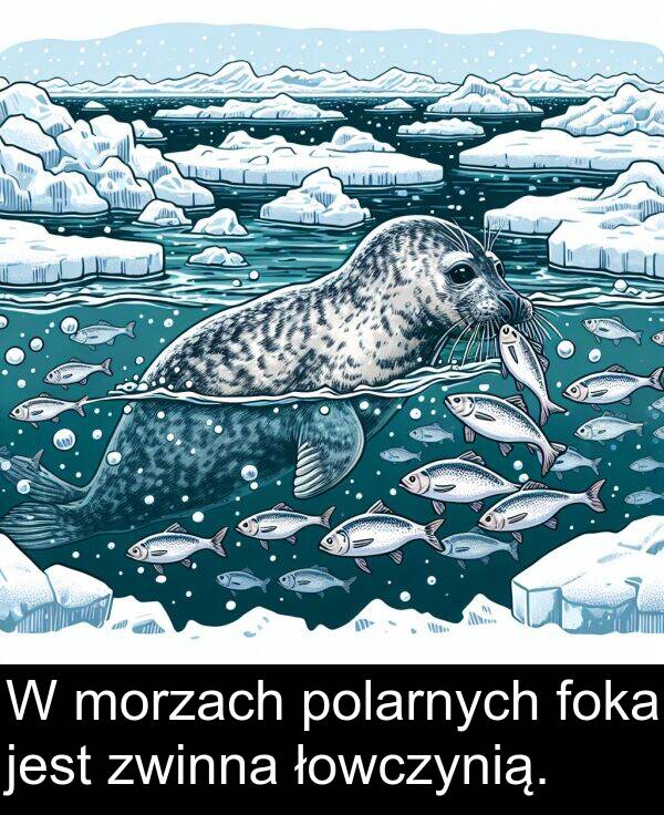 zwinna: W morzach polarnych foka jest zwinna łowczynią.